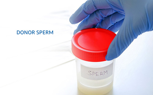 Sperm donation