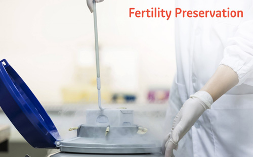 Fertility Preservation