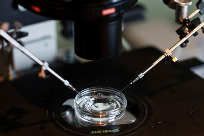 Role of the IVF Laboratory in giving a successful pregnancy