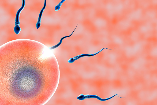 Increase the success of child birth through IVF - tips by specialists at the best infertility clinic in Kolkata