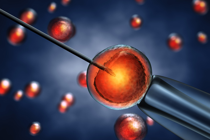 The 5 Major Steps Done In Most IVF Clinics In Kolkata