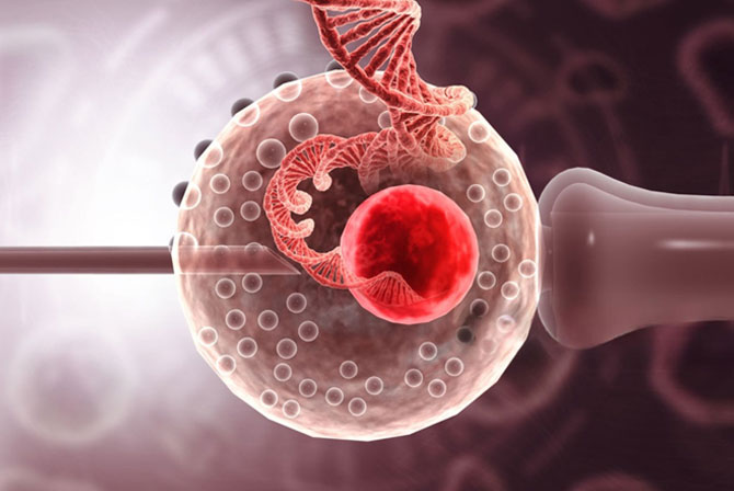 Importance of PGT/PGS and Genetic Counselling