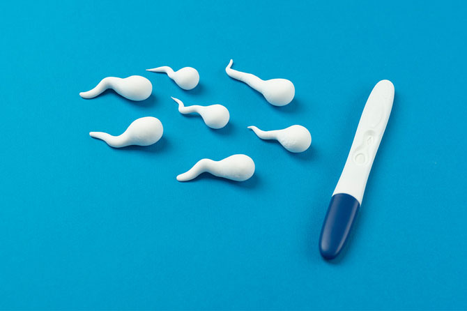 Male Fertility: The Unsung Factor in Conception