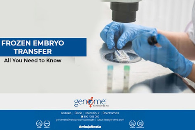 Frozen Embryo Transfer – All You Need to Know