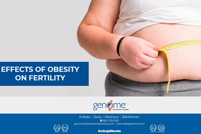 Effects of Obesity on Fertility