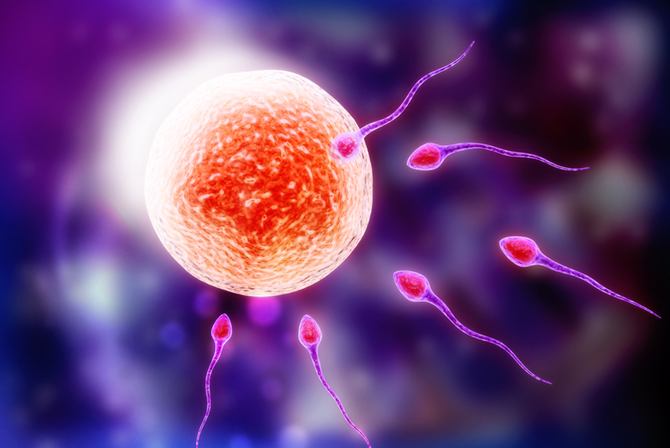 Navigating IVF Treatment in Kolkata: What You Need to Know