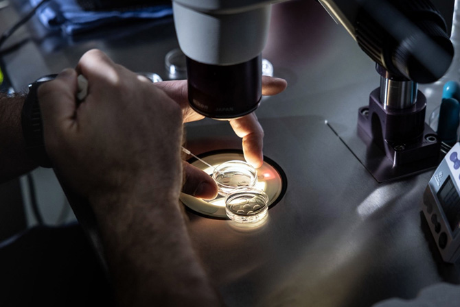 Preparing Your Body for IVF: Healthy Habits to Adopt Before Starting
