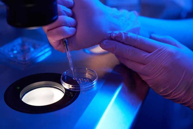 IVF Process Step by Step: A Simple Guide to Understanding Your Journey